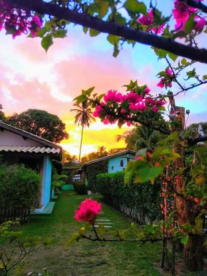 Homestay Casa Jasmim Imbassai-ba Mata de Sao Joao